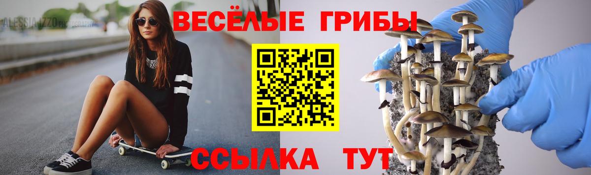 Псилоцибиновые грибы Cubensis  Вход с VPN  Заринск 